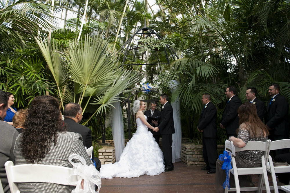 Columbus Ohio wedding officiant, Damian King at Franklin Park Conservatory