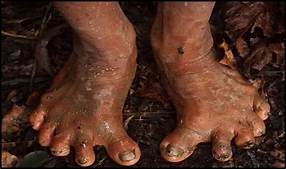 tribal feet.jpg