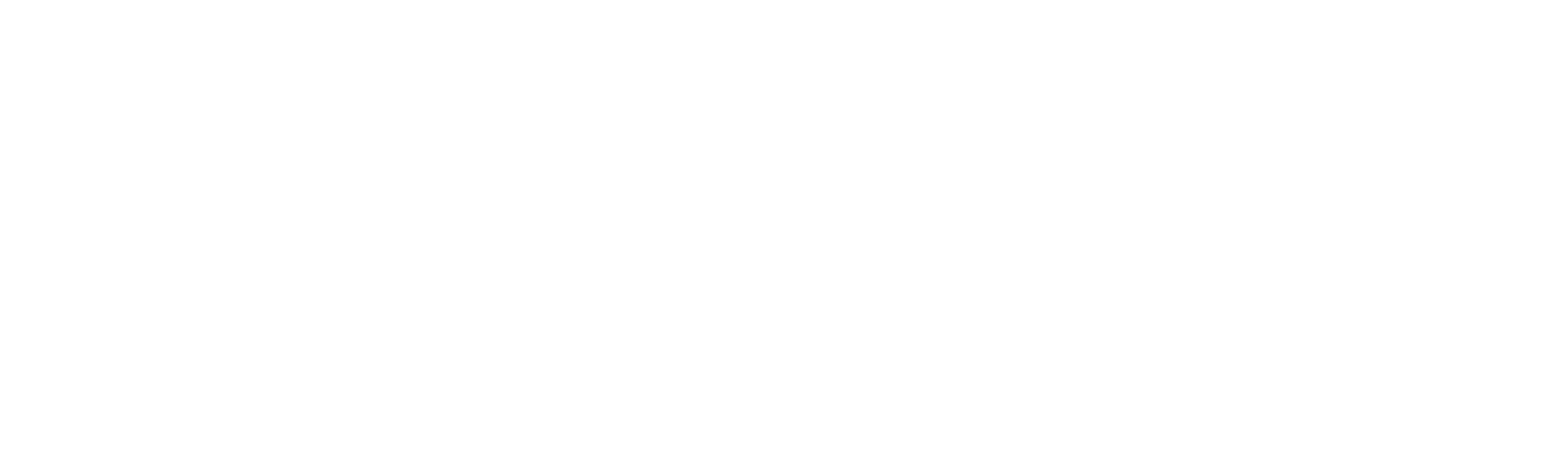 Lisa Ring For Congress