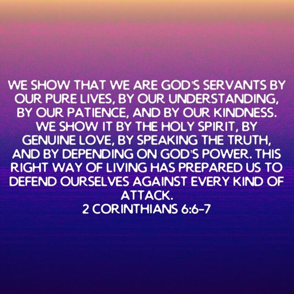 Corinthians 6:6 In Purity, Knowledge, Patience, And, 57% OFF