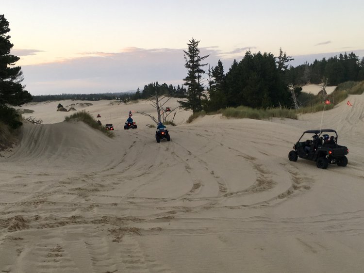 florence sand dune buggy rentals
