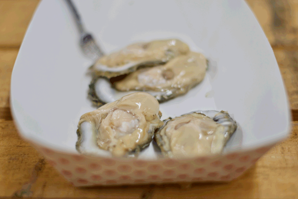 oyster-boat.gif