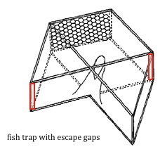 Solution: Escape Gaps for Fish Traps — Ayana Elizabeth Johnson