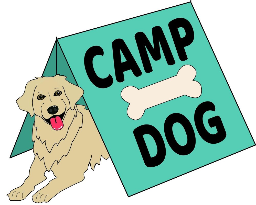 dog camp