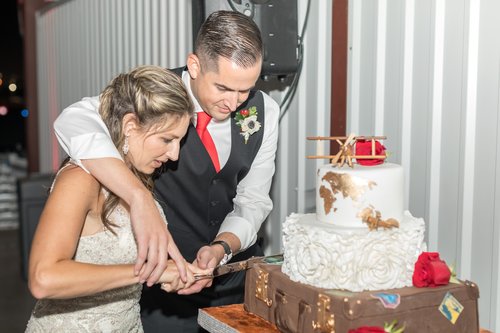 Bride And Groom Cutting Their Aviation Themed Wedding Cake.
