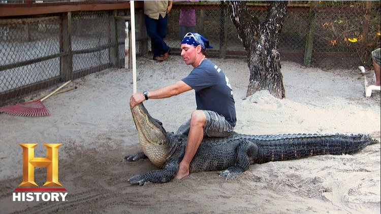 The alligator wrangler creates extension to remove frontal/transverse plane movement options. Alligators walk in the frontal plane, and attack in the transverse plane (death roll), by getting the alligator into extension methods of attack are eliminated.