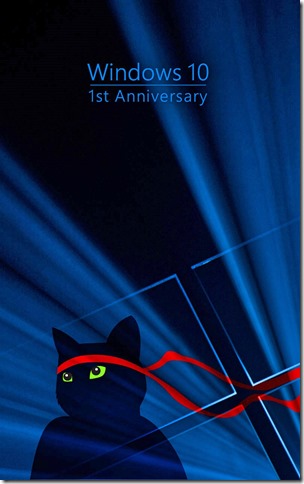 Windows_Insider_Anniversary-Ninjacat-800x1280a