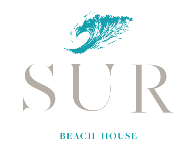 sur beach house cabo owners