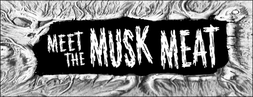 Musk Meat latex Record cover by Rob Fletcher punk garage noise latex prosthetic horror gore