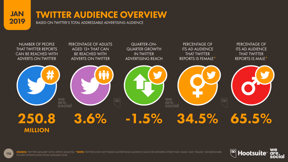 Twitter audience overview