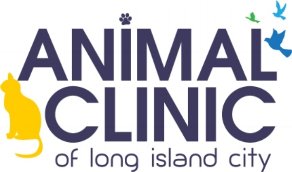 ANIMAL CLINIC OF LONG ISLAND CITY