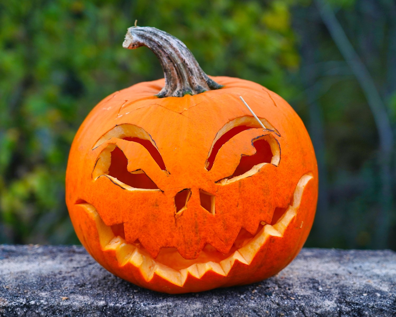 Halloween waste is frightening! How to have a sustainable Halloween ...
