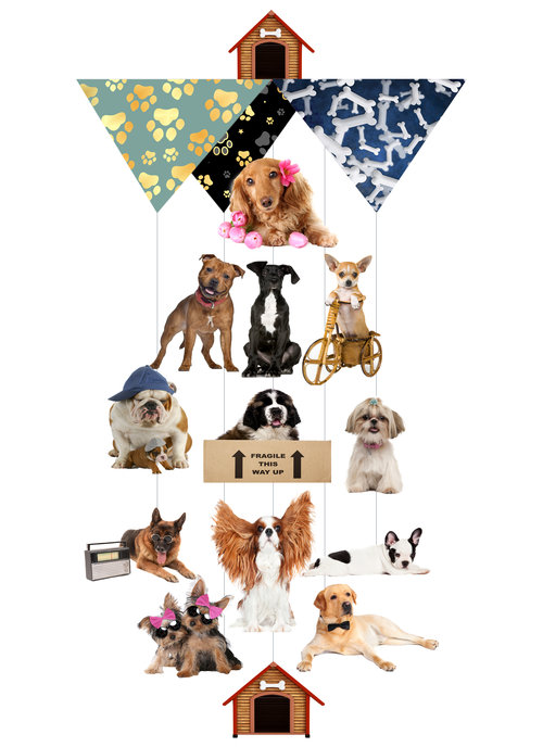 Dog To The Bone Theia Chandelier Card™ opened card