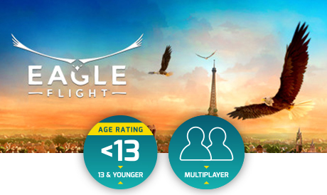 Eagle Flight Arcade