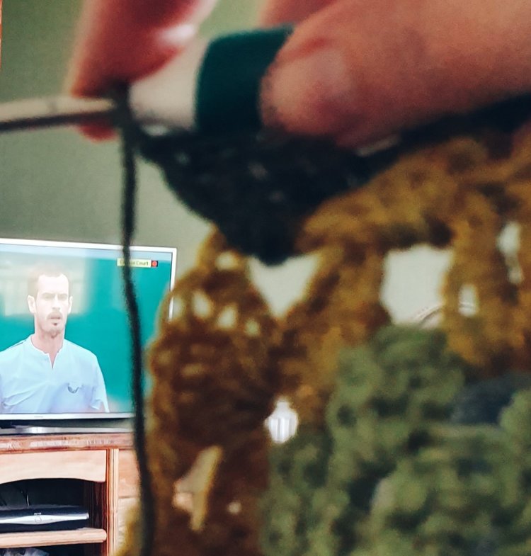 Of course we have to make time for Wimbledon - fitting in a bit of crochet too. Come on Andy and Serena! And weâ€™re smitten with Coco too - isnâ€™t she wonderful?