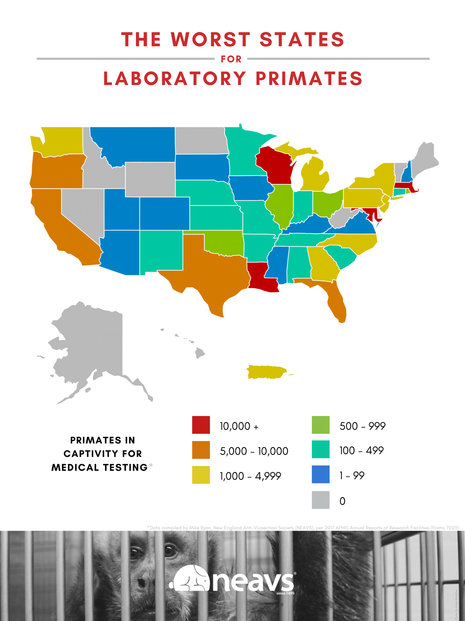NEAVS.Blog Insert.Facebook.Worst States for Lab Primates.png