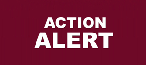 ACTION ALERT in white bold letters on a dark red background
