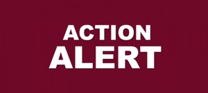 ACTION ALERT in white bold letters on dark red background