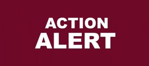 Action Alert in bold white letters on burgundy red background