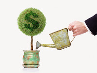 Picture of a plant in a pot with a green dollar sign in the leaves with a hand pouring water from a watering can