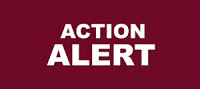 Action Alerts in large, white capital letters on a plain burgundy background