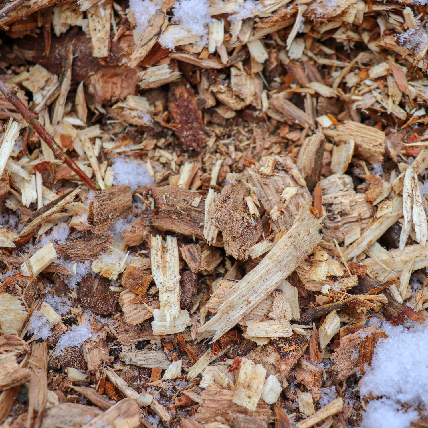 MULCH//Are Wood Chips Harmful to Gardens?