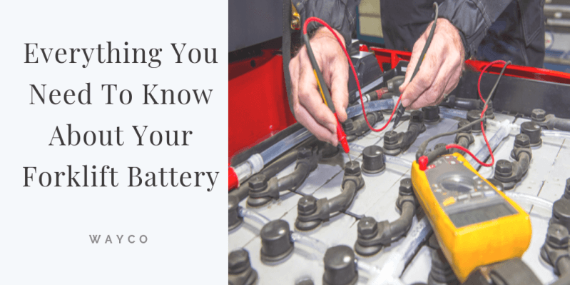 Everything You Need To Know About Your Forklift Battery Wayco Best Forklift Warranties Safety Training