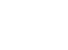 The New York Times Icon
