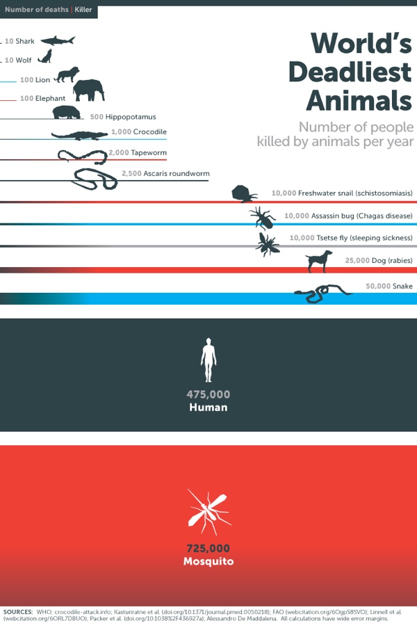 The Deadliest Animal in the World — Cool Infographics