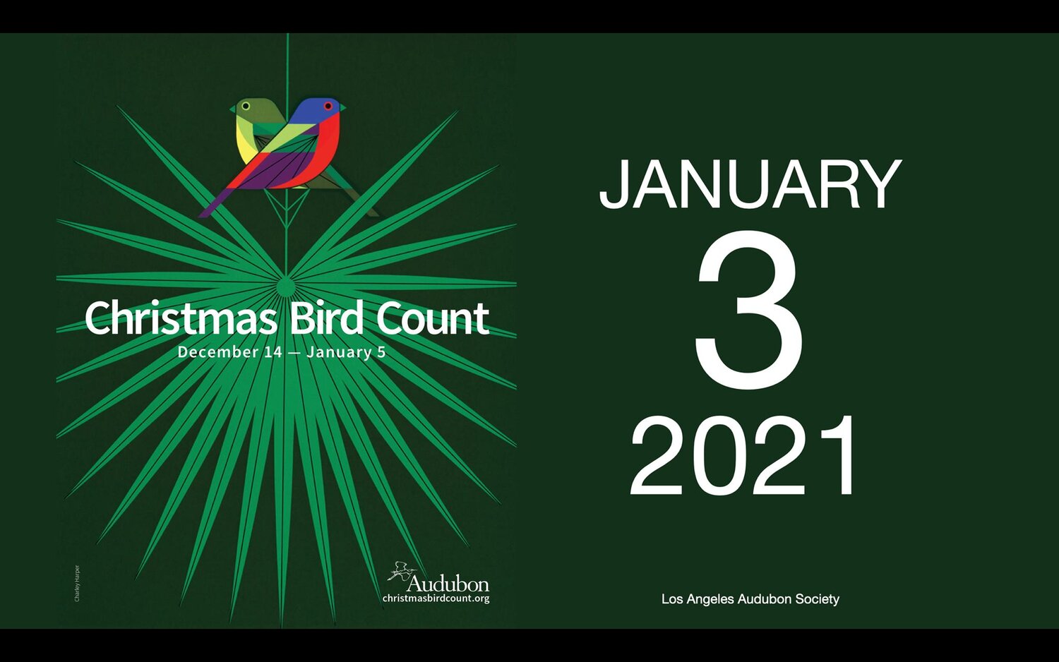 Dates For 2021 Christmas Bird Count