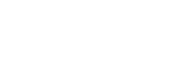 Bogo Logo