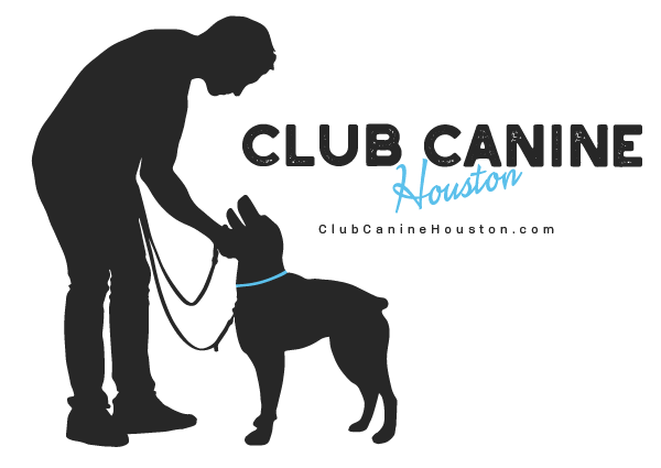 Club Canine dog training Houston