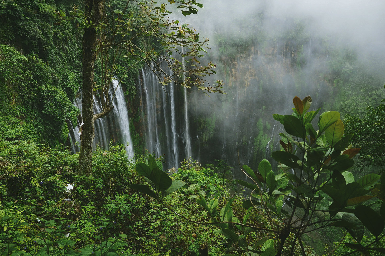 Photo of Un estudio de la selva tropical de Costa Rica muestra que los parques nacionales son más sostenibles de lo esperado