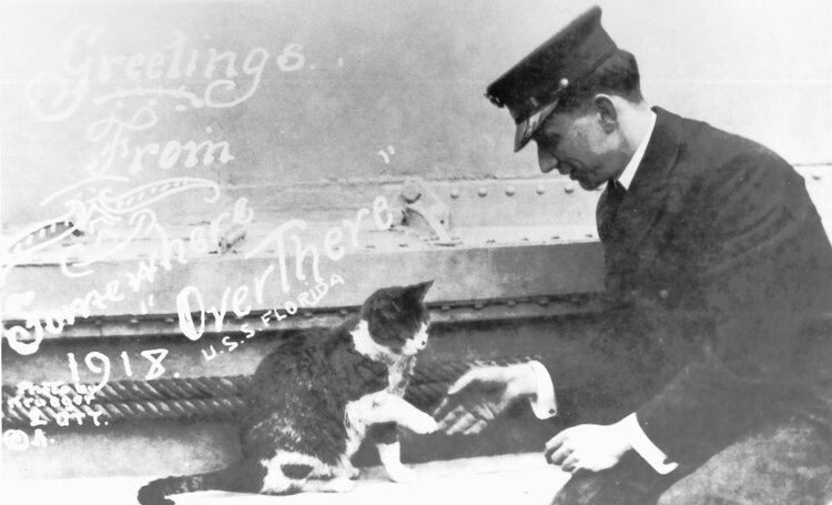 Image from  https://www.smithsonianmag.com/travel/adorable-heroic-animals-museum-maritime-pets-180955012/  of a sea captain and his cat. Potentially worth noting, this photo was taken during the influenza pandemic of 1918.