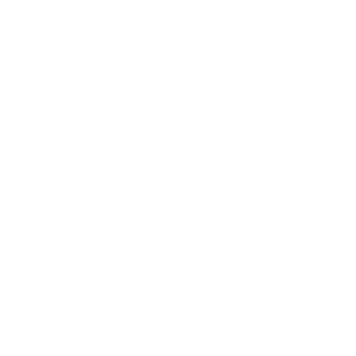 The 100% model