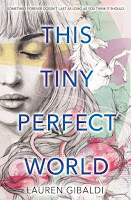 cover of This Tiny Perfect World