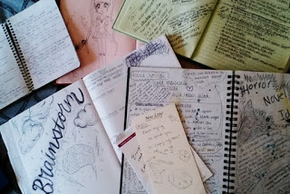 Amy Lukavics's journals