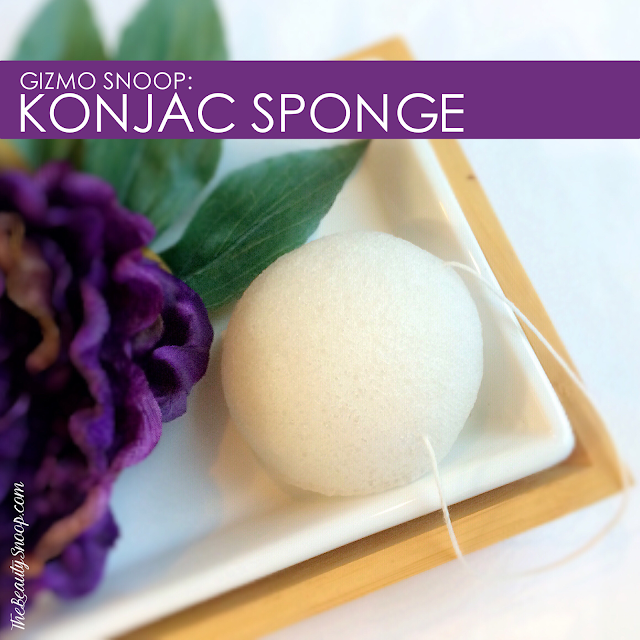 the best konjac sponges, what is a konjac sponge?, konjac sponge 101