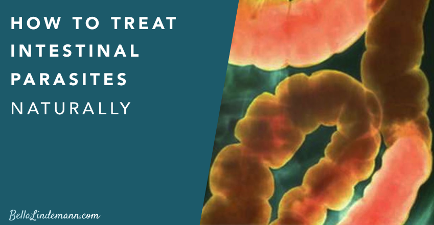 How to Treat Intestinal Parasites Naturally