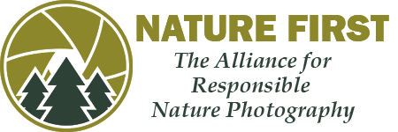 Filippo Macchi member of Nature First, The Alliance for Responsible Nature Photography