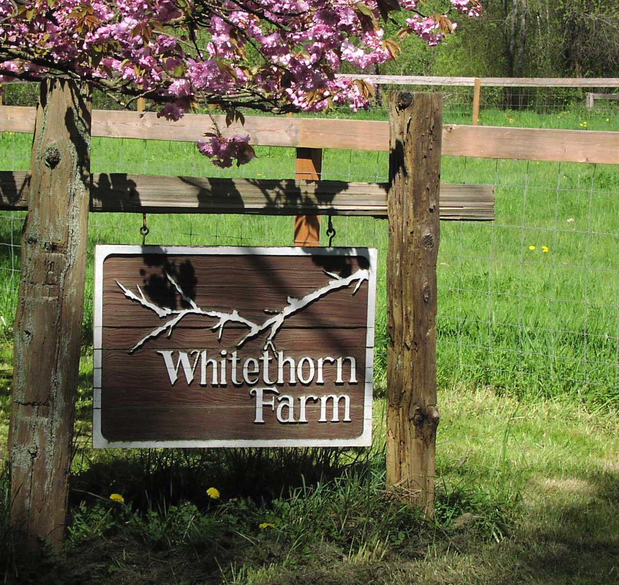 Whitethorn Farm