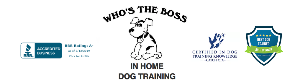 be the boss dog training