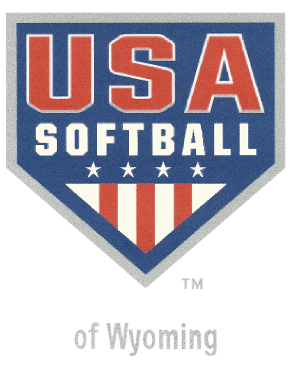 Safesport/Ace Certification — USA Softball of Wyoming