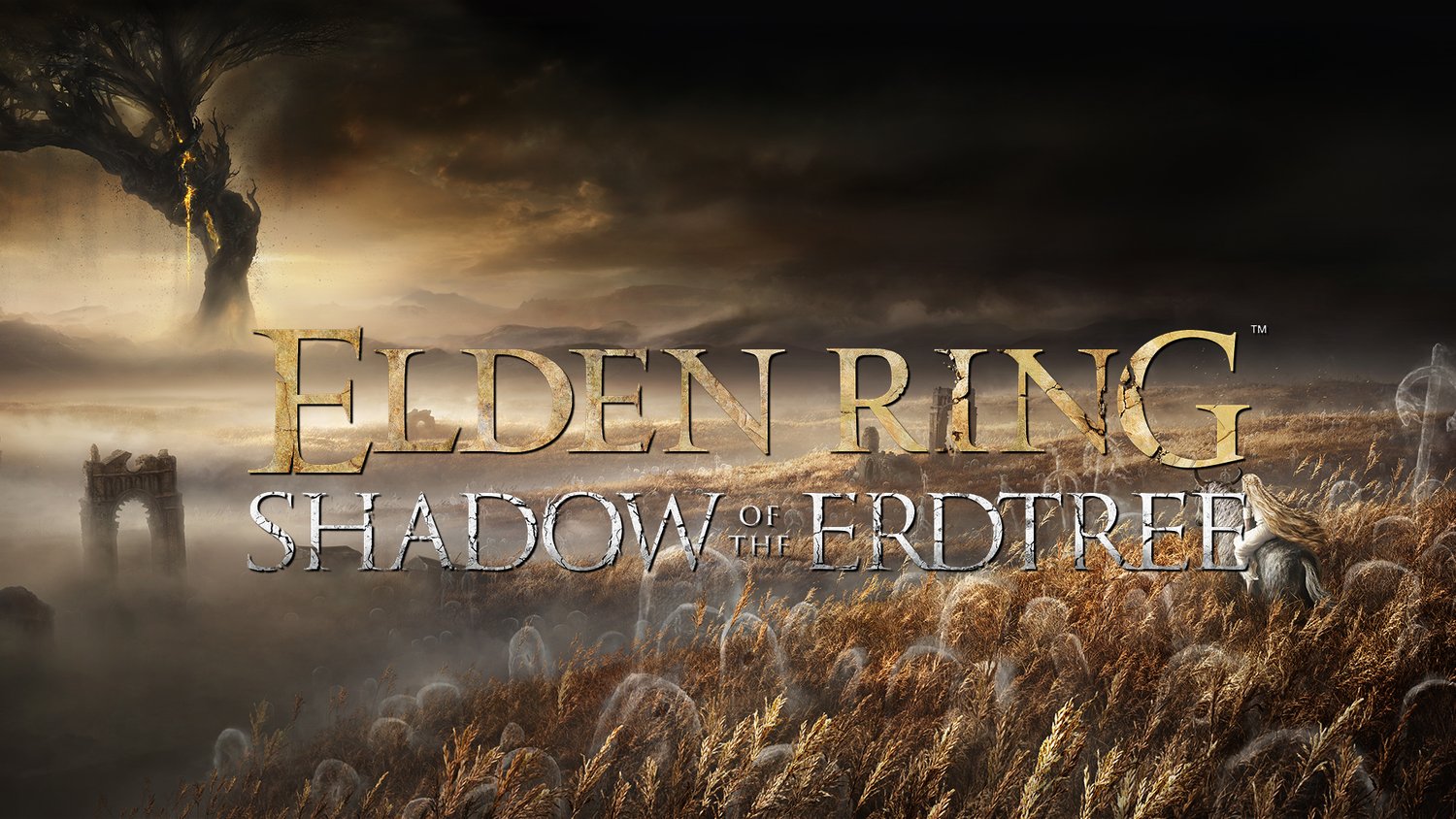 The expansion Shadow Of The Erdtree has been announced for Elden Ring ...