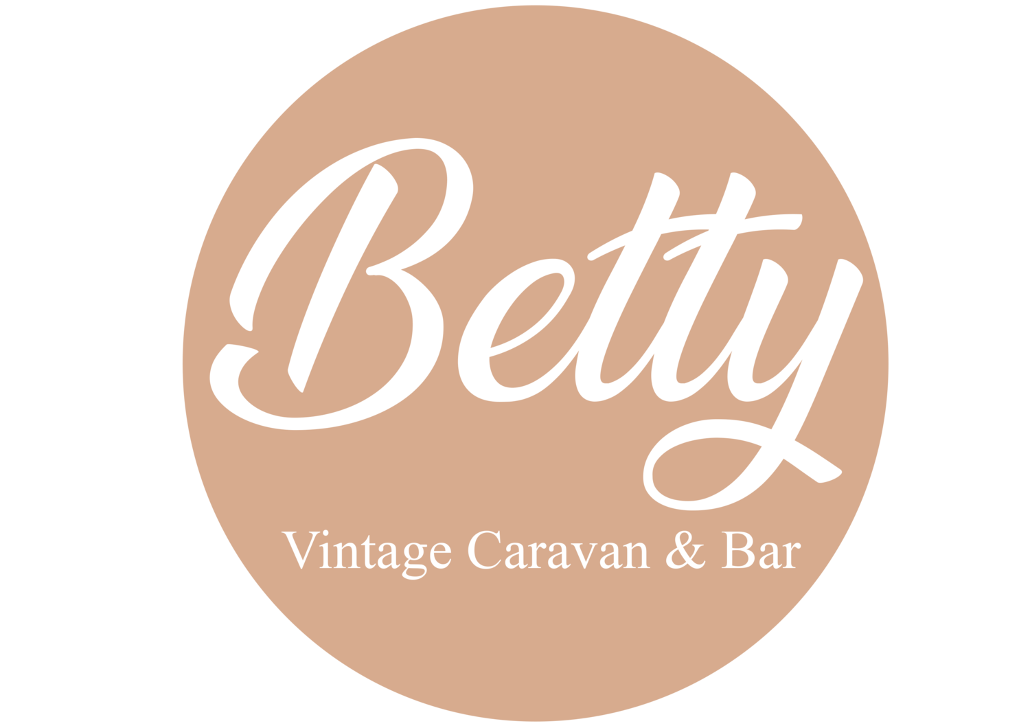 Betty Vintage Van