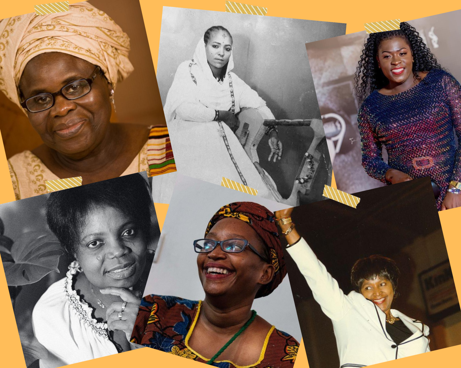 African Feminist Perspectives Matter: A Reading List — Black Women Radicals