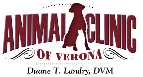 Animal Clinic Of Verona | #1 Veterinary Practice In Augusta County