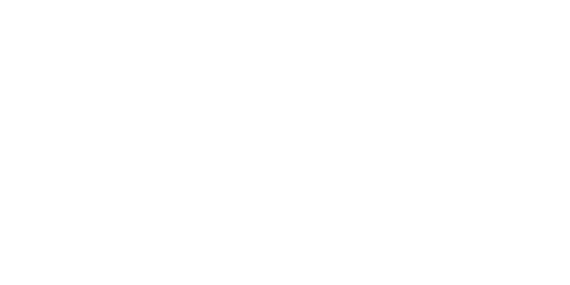 Duke Animal Trap - Large Heavy Duty - Model 1112