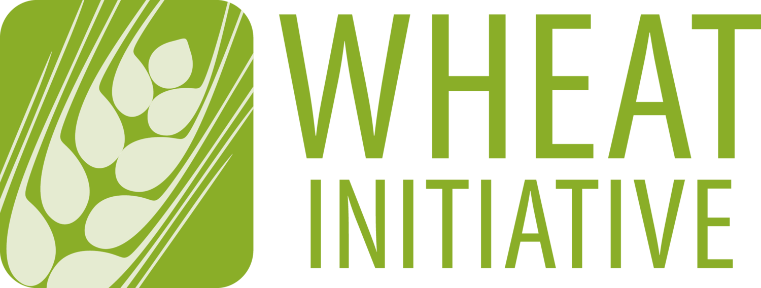 Wheat initiative