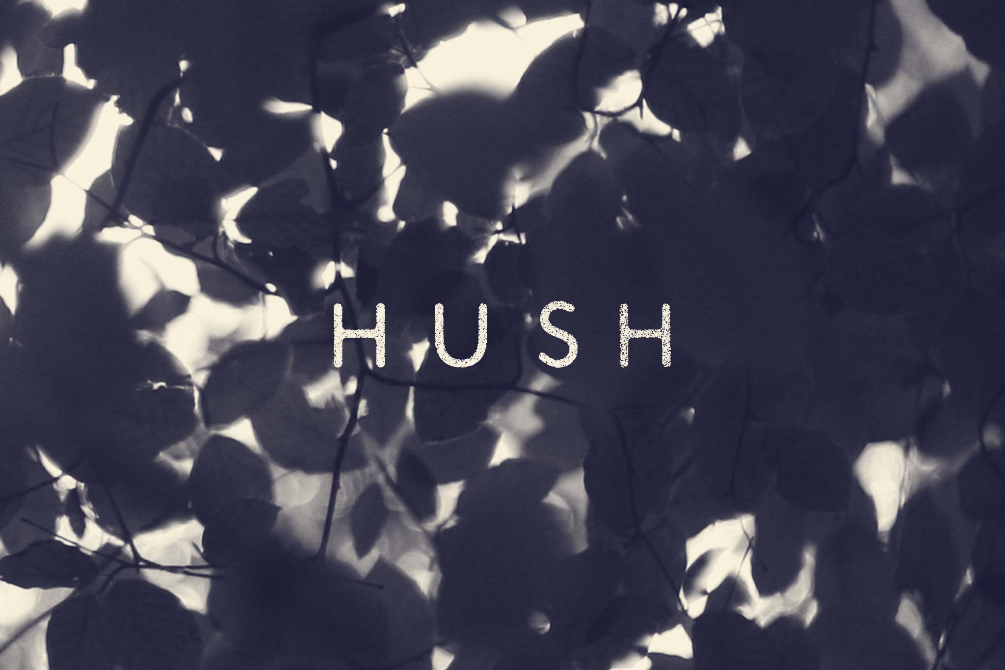“Hush